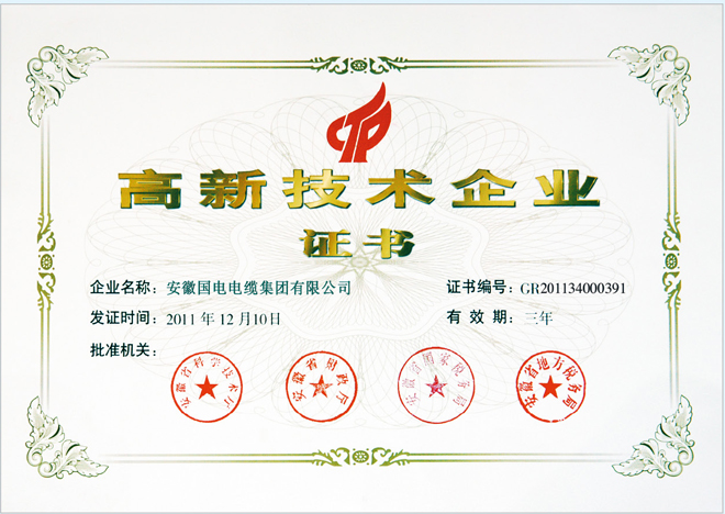 國(guó)家級(jí)高新技術(shù)企業(yè)