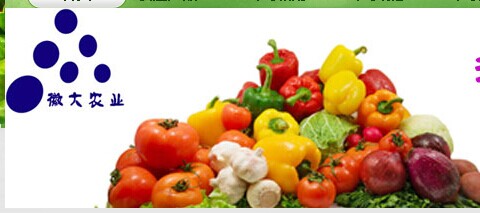 ? 安徽徽大農(nóng)業(yè)有限公司